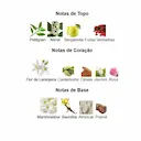 PERFUME MELODIE ORIENTICA EAU DE PARFUM FEMININO 90ML