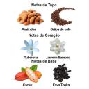 PERFUME GALAXY PLUS CONCEPTS NAUGHTY GIRL EAU DE PARFUM FEMININO 100ML