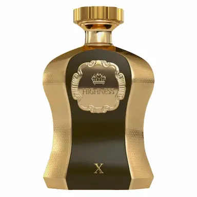 PERFUME AFNAN HIGHNESS X EAU DE PARFUM MASCULINO 100ML