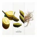 PERFUME AZZARO WANTED EAU DE TOILETTE AZZARO MASCULINO 100ML