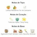 PERFUME ORIENTICA AREEJ OUD ANAQA EAU DE PARFUM UNISSEX 50ML