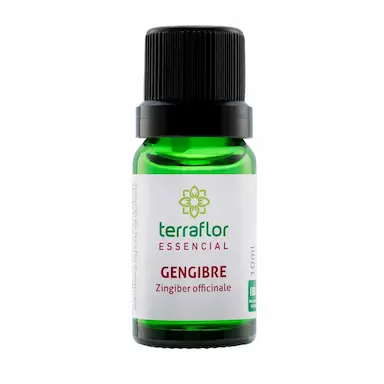 ÓLEO ESSENCIAL DE GENGIBRE 10ML - TERRA FLOR