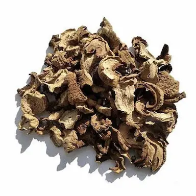 FUNGHI SECO (COGUMELO SECO) (GRANEL 100G) Unica
