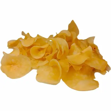 CHIPS DE MANDIOCA (GRANEL 100G)
