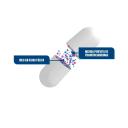 Hello TPM 500mcg com 30 cápsulas