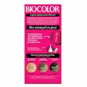 Mini Kit Biocolor Coloração Creme Louro Acinzentado Estiloso 8.1 com 1 unidade