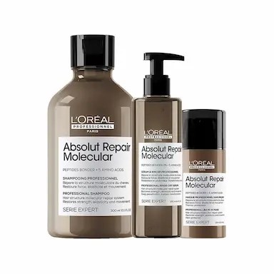 KIT L&#039ORéAL PROFESSIONNEL ABSOLUT REPAIR MOLECULAR – SHAMPOO 300ML E LEAVE-IN E SéRUM