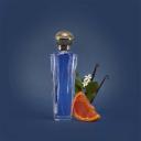 SHAKIRA DREAM EDT PERFUME FEMININO 80ML