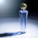 SHAKIRA DREAM EDT PERFUME FEMININO 50ML