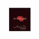 OCéANE MARIANA SAAD BLUSH HOT PINK 6,5G - xpto