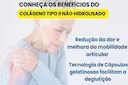 Colágeno Não Hidrolisado Tipo Ii Biolab 30Caps